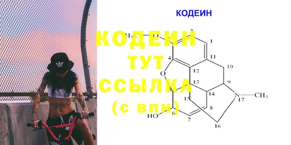 крисы Баксан