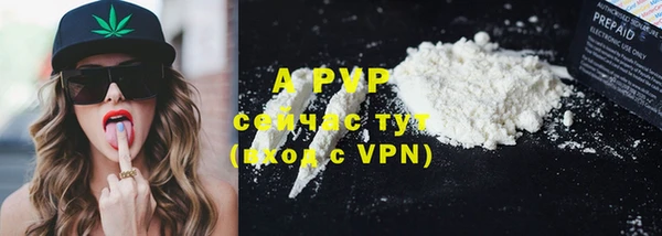 крисы Баксан