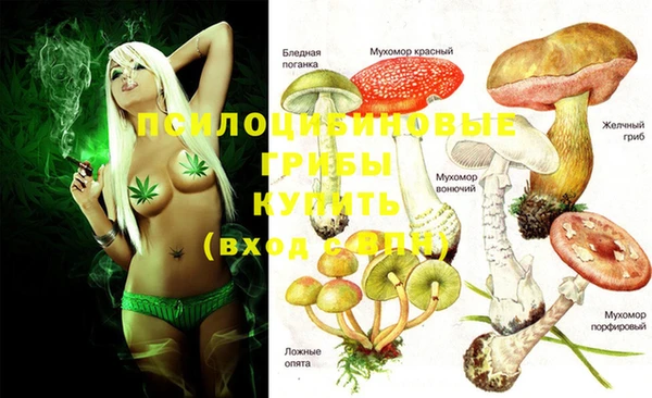 крисы Баксан