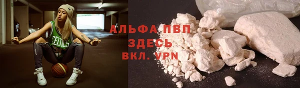 крисы Баксан