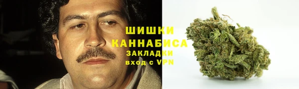 крисы Баксан