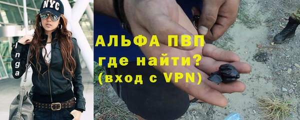 крисы Баксан